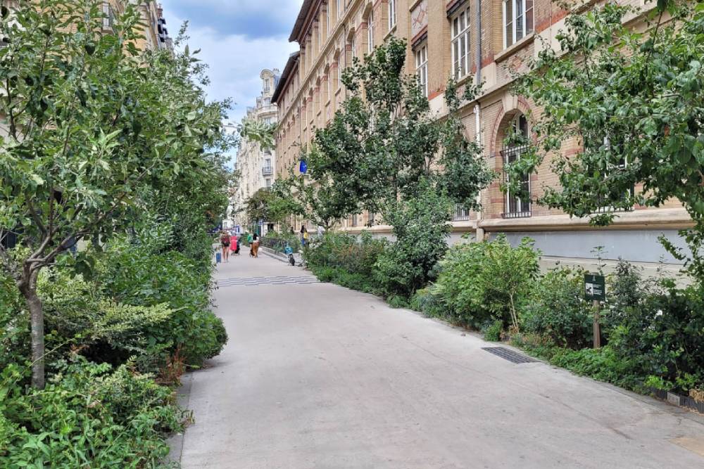 Eine breite, asphaltierte Straße in Paris, die von zahlreichen grünen Bäumen und Sträuchern gesäumt wird. Rechts ist eine lange, mehrstöckige Fassade eines historischen Gebäudes mit vielen Fenstern zu sehen. Die Straße ist frei von parkenden Autos und Fußgänger sind in der Ferne erkennbar. Der Himmel ist teilweise bewölkt. Die üppige Bepflanzung entlang der Straße vermittelt einen Gartencharakter, der auf das "Gartenstraßen"-Konzept zur großflächigen Entsiegelung in Gebieten mit starkem Gründefizit hinweist.